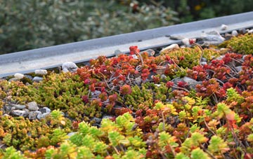 the cost of Llanon green roof installation